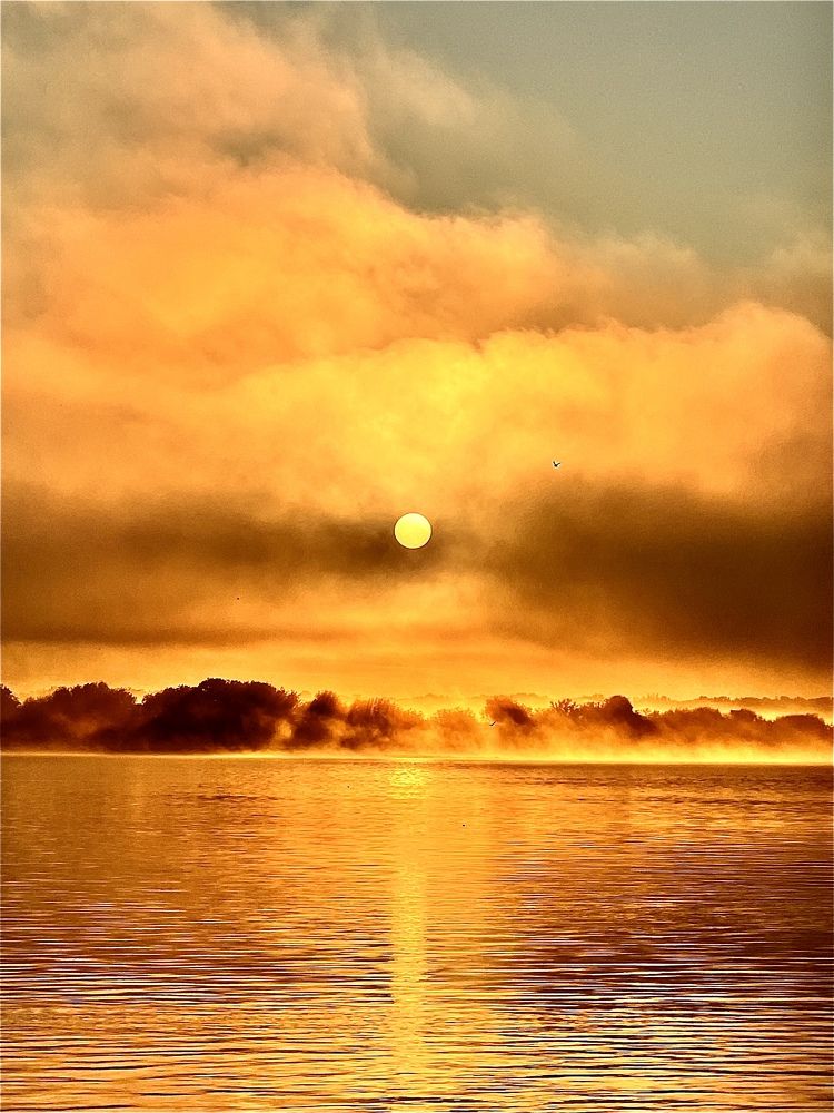 Photograph by Лариса Белашова