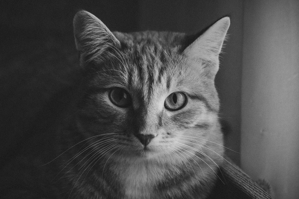 Photograph by Евгений Авдеев