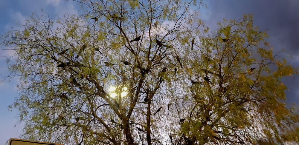 Photograph by JORGE DORANTES