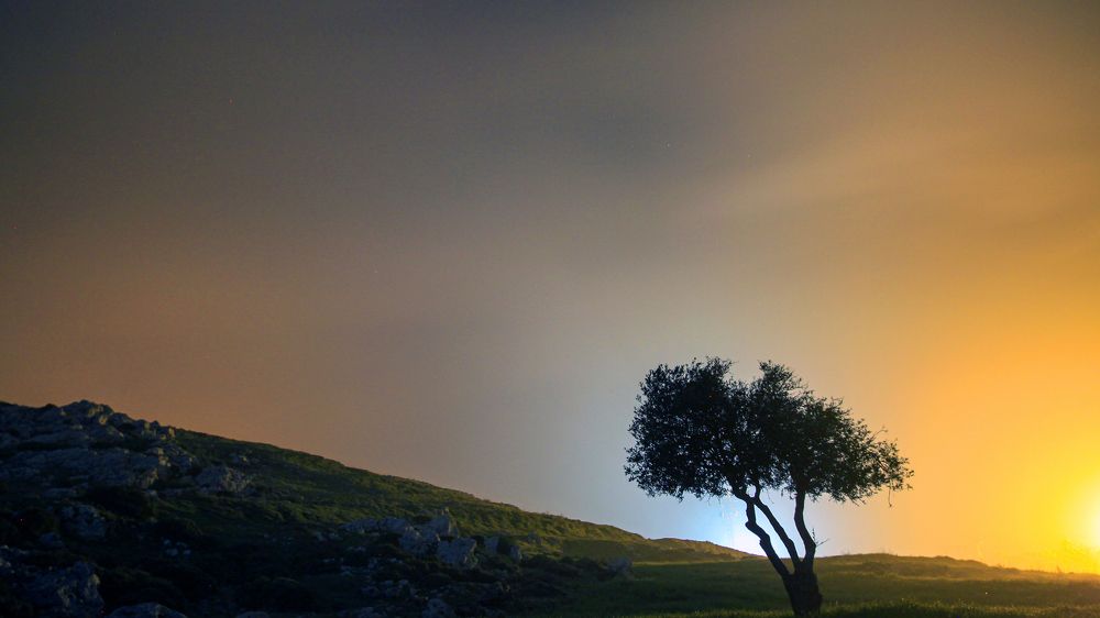 Фотография автора Ahmad Hazbouz