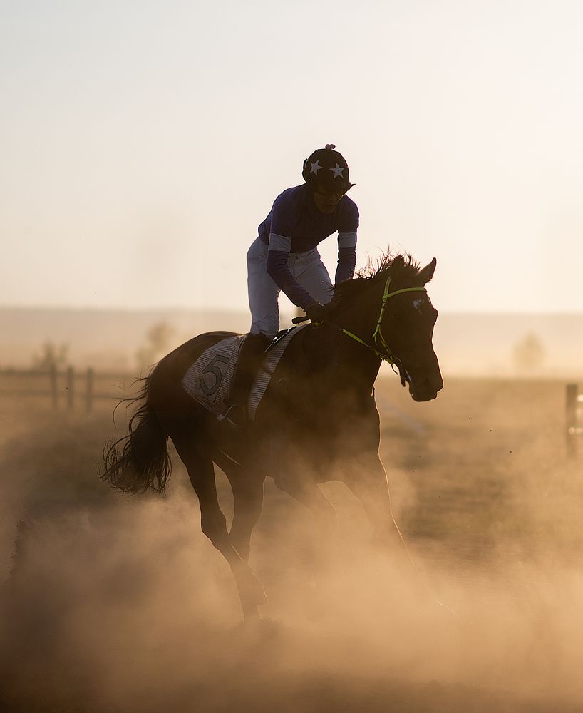 Фотография автора Ляшеев Дмитрий