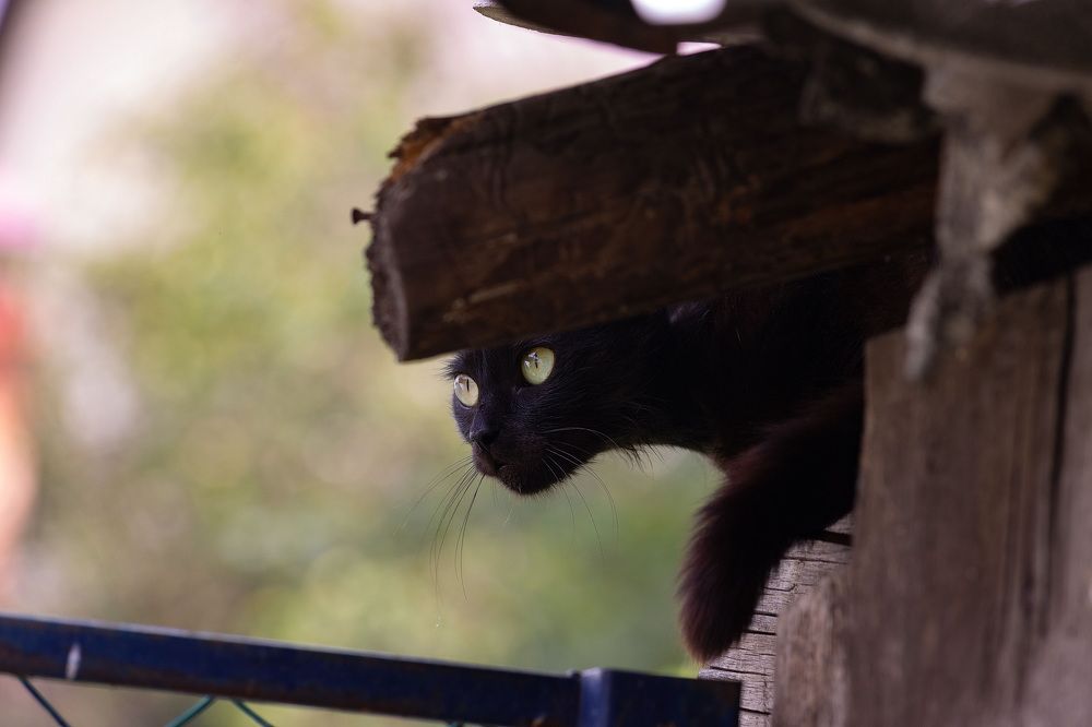 Photograph by Виктория Сивакова