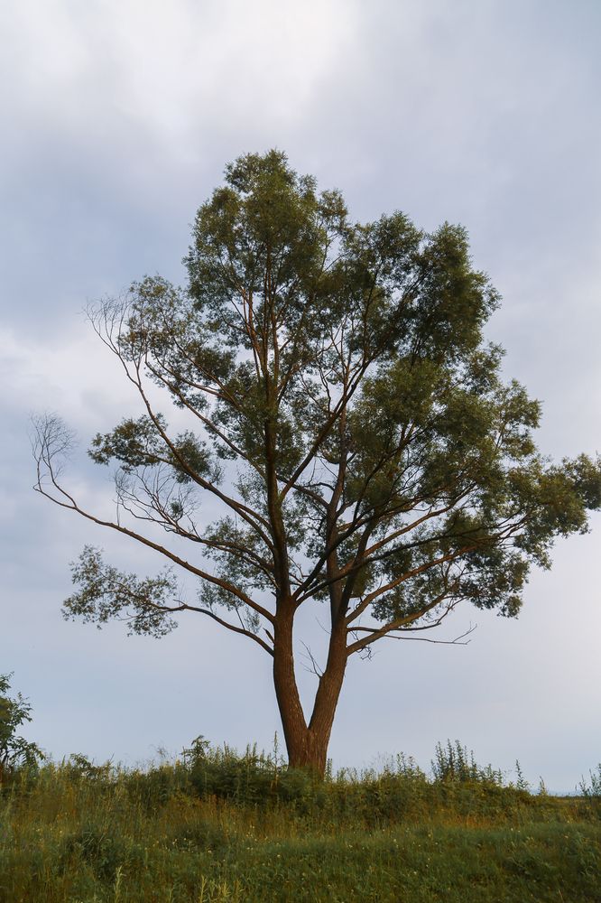 Photograph by Татьяна Атисс