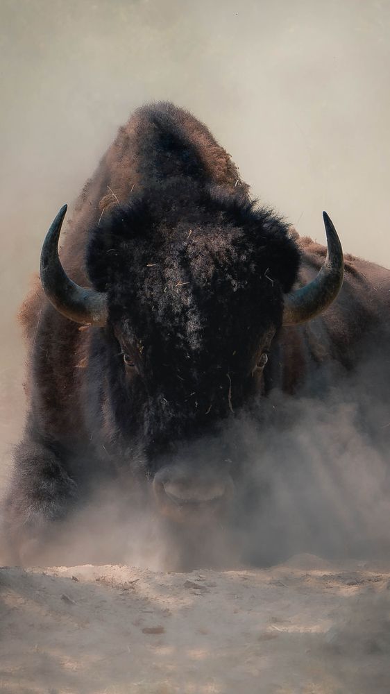 Photograph by Данил Шауба