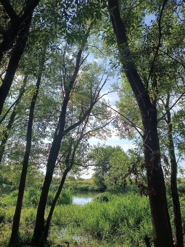 Photograph by Ксения Уварова