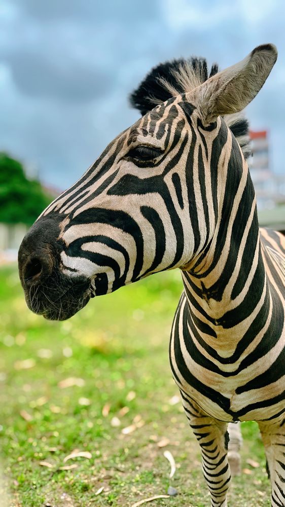 Photograph by Siarhei Saladukhin