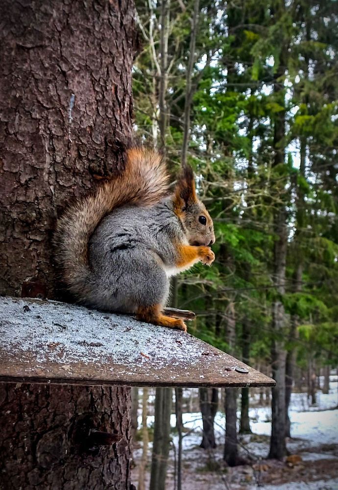 Photograph by Евгения Трубкина