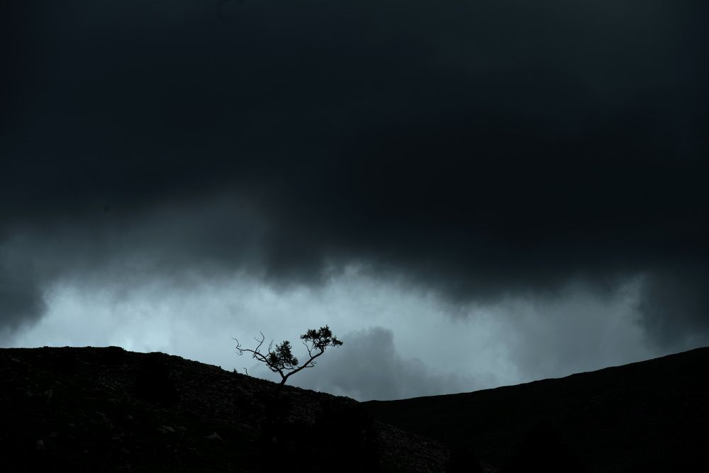 Photograph by ganzorig miimaa