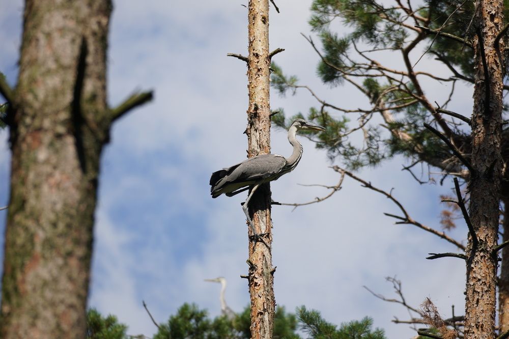 Photograph by Алфия Бугакова