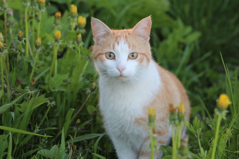 Photograph by Елена Терскова