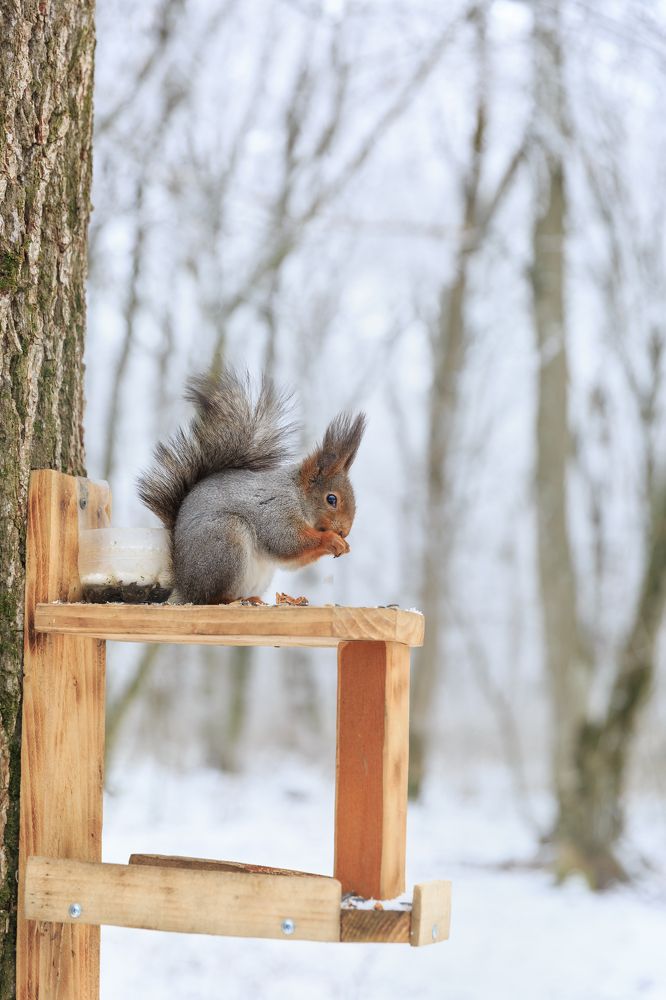 Фотография автора Анастасия Лапта