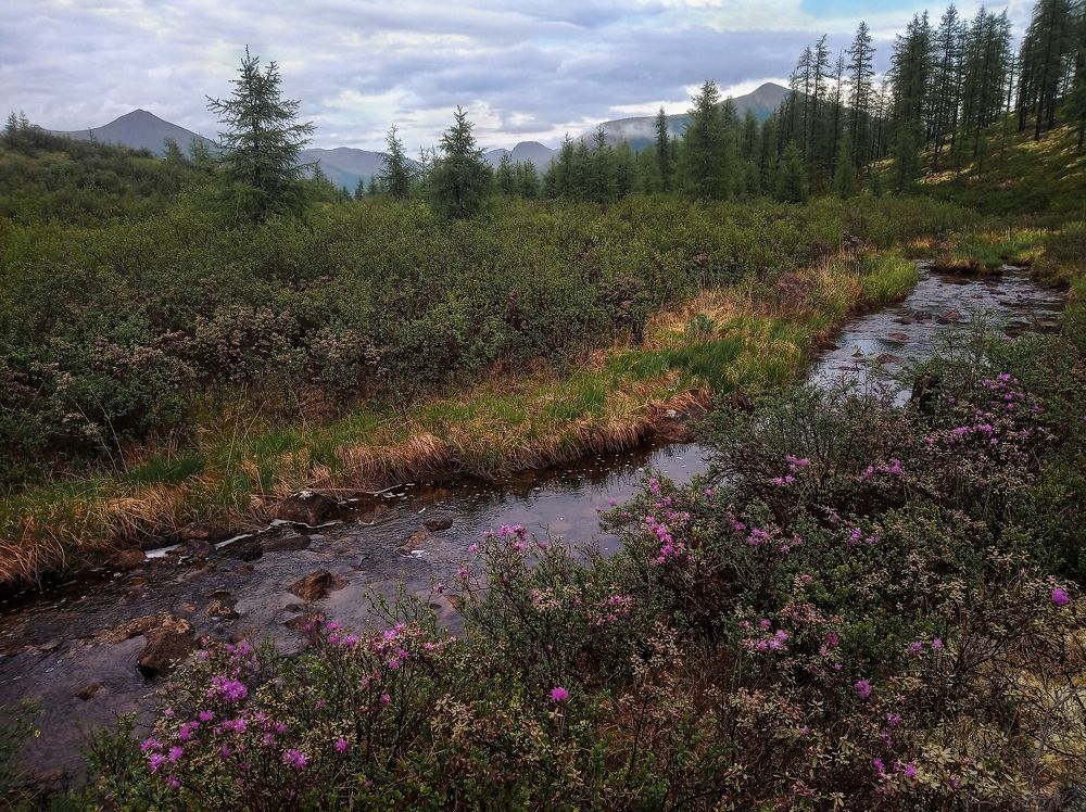 Photograph by Александр Попов