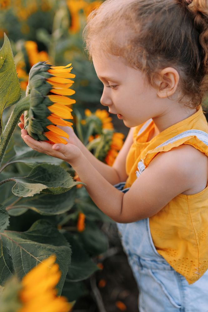 Фотография автора Дарья Стадник Ясковец
