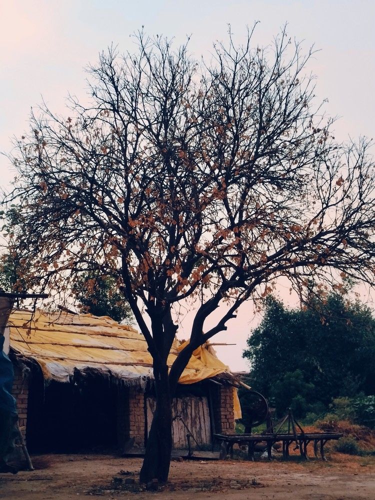 Photograph by Ashwini Rai