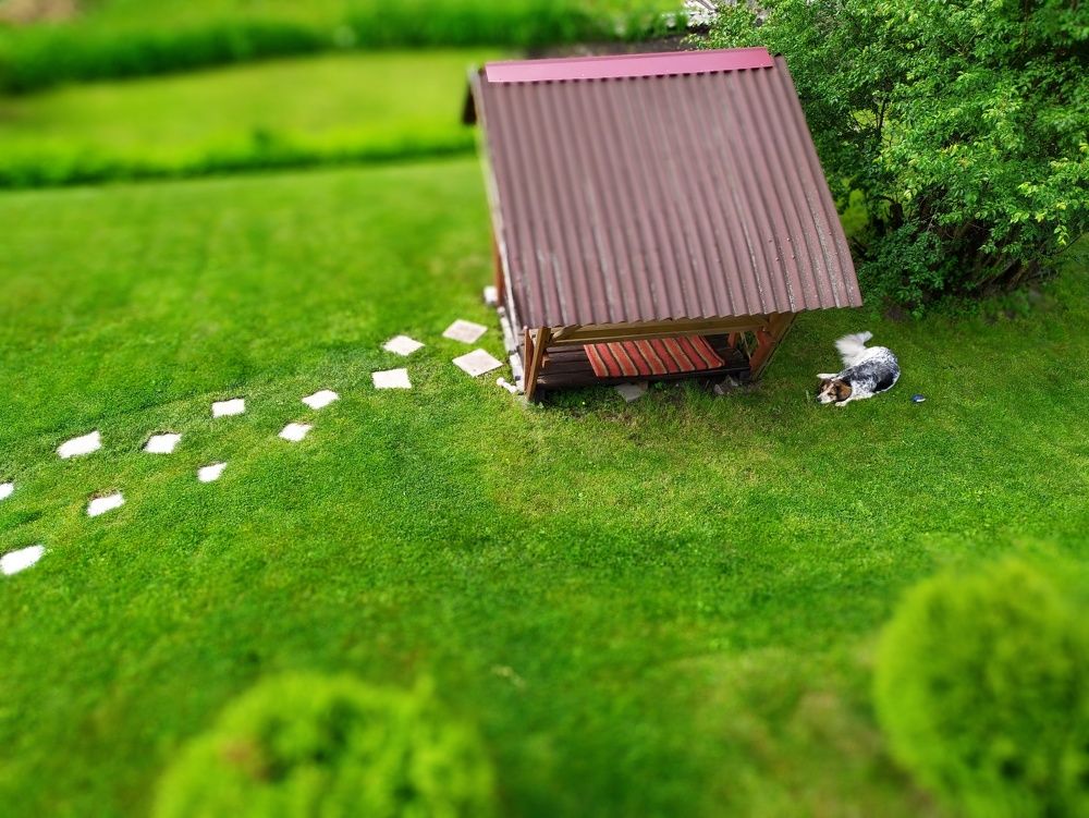 Photograph by Dmitry Kuzmich