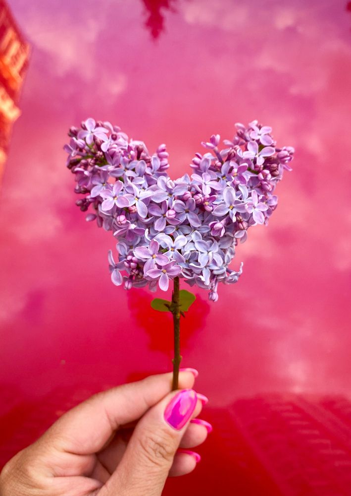 Photograph by Nataly Mayak