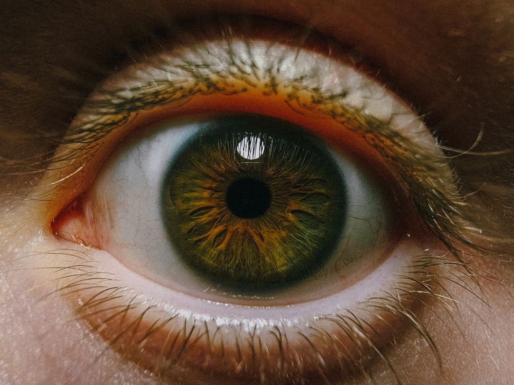 Photograph by Nikita Ovsyannikov