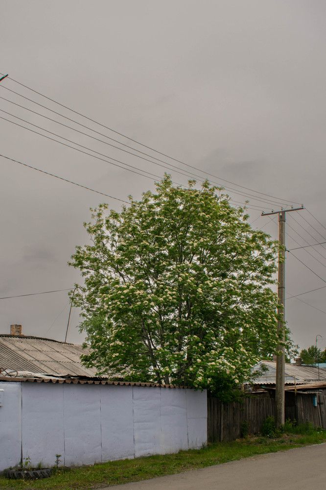 Photograph by Ольга Одинцова