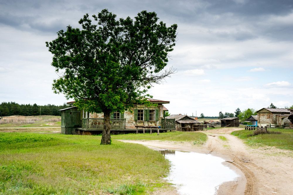 Photograph by mikhail goryachev