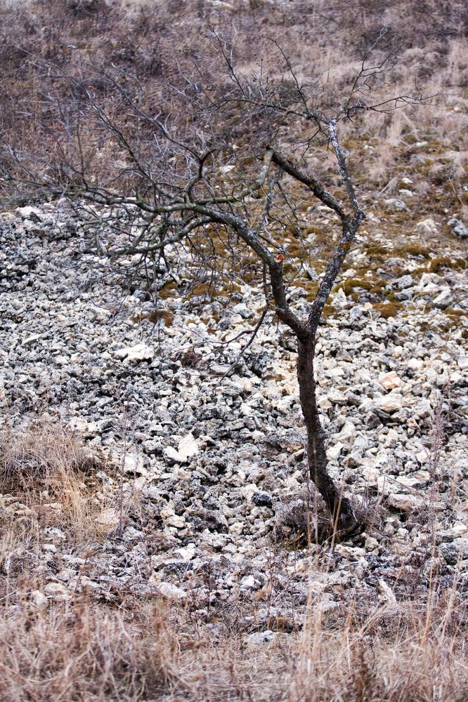 Photograph by mikhail goryachev