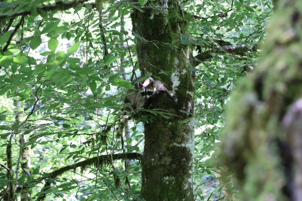 Photograph by Igor Chechin