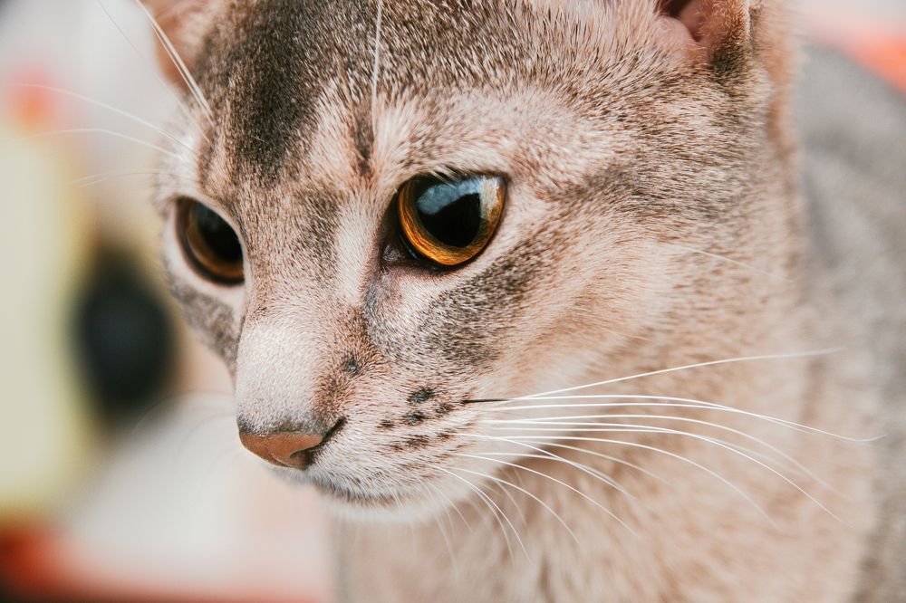 Photograph by Nataly Mayak