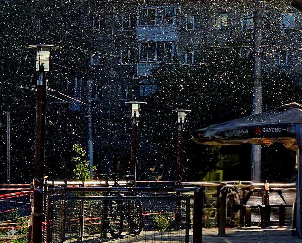 Фотография автора Максим Грибанов