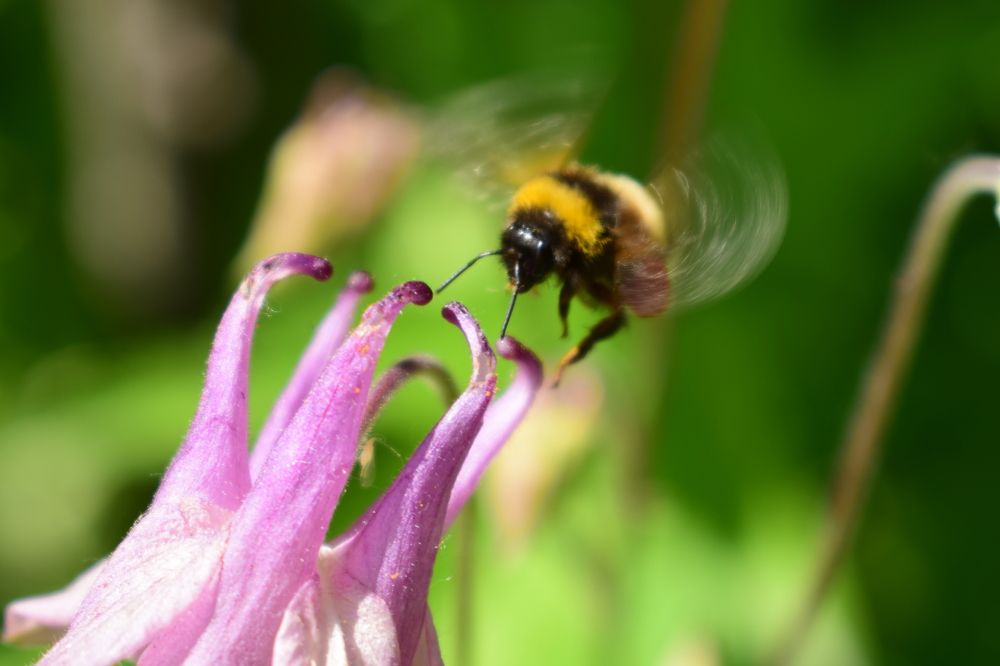 Photograph by Наталья Еременко