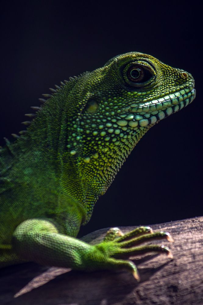 Photograph by NeCoTi ChonTin