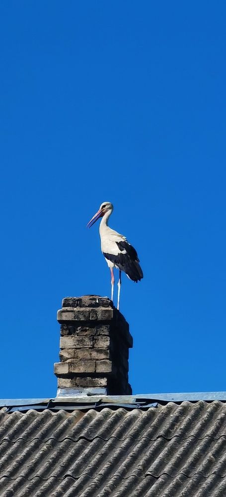 Photograph by Aleksandrs Konstantinovs