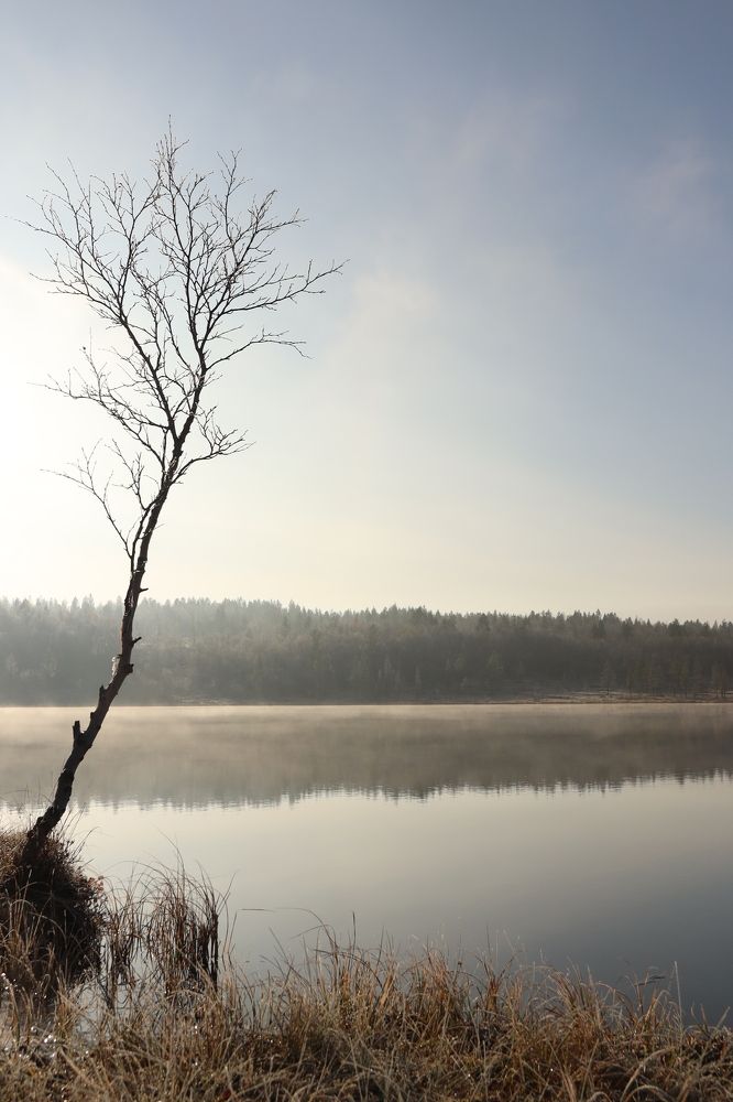 Фотография автора Татьяна Даль
