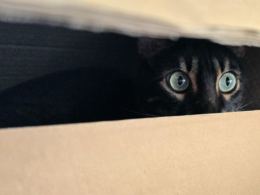 Photograph by Анна Семенова