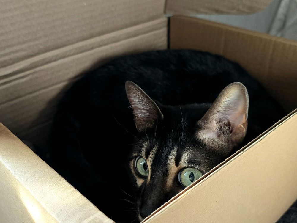 Photograph by Анна Семенова