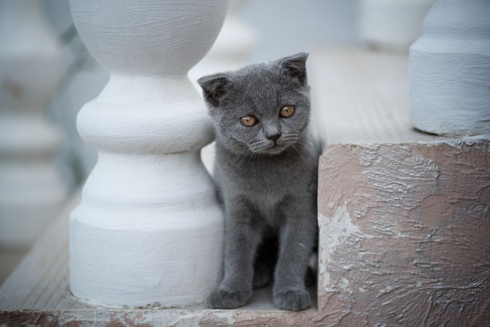 Photograph by Рагинская Ольга