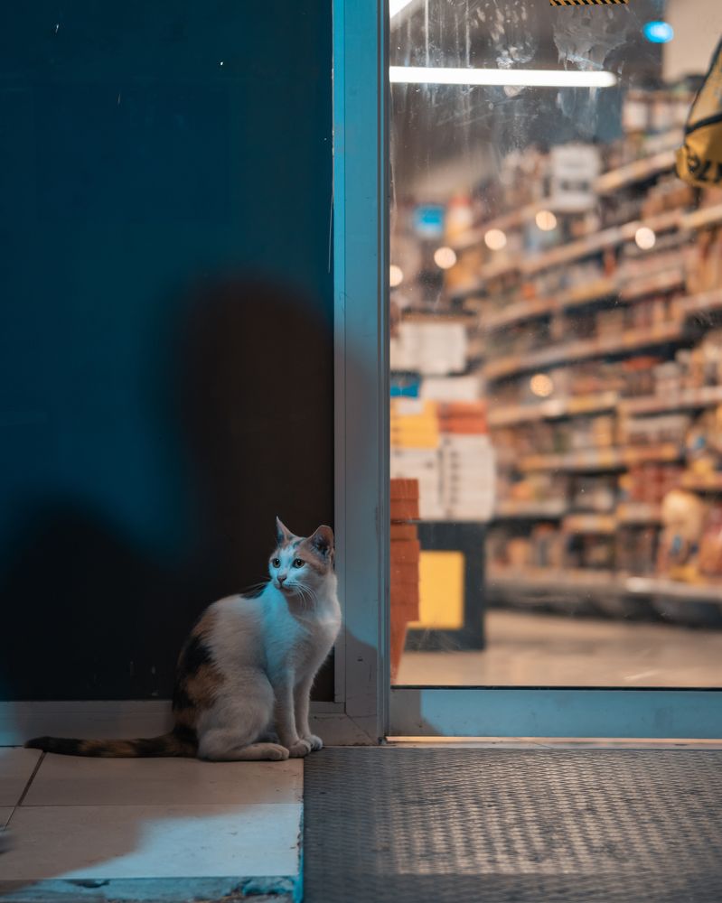 Photograph by Артем Гатин