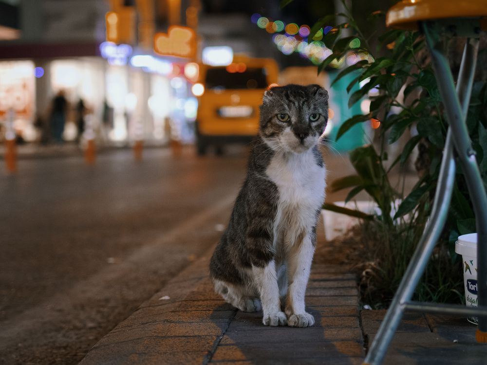 Photograph by Артем Гатин