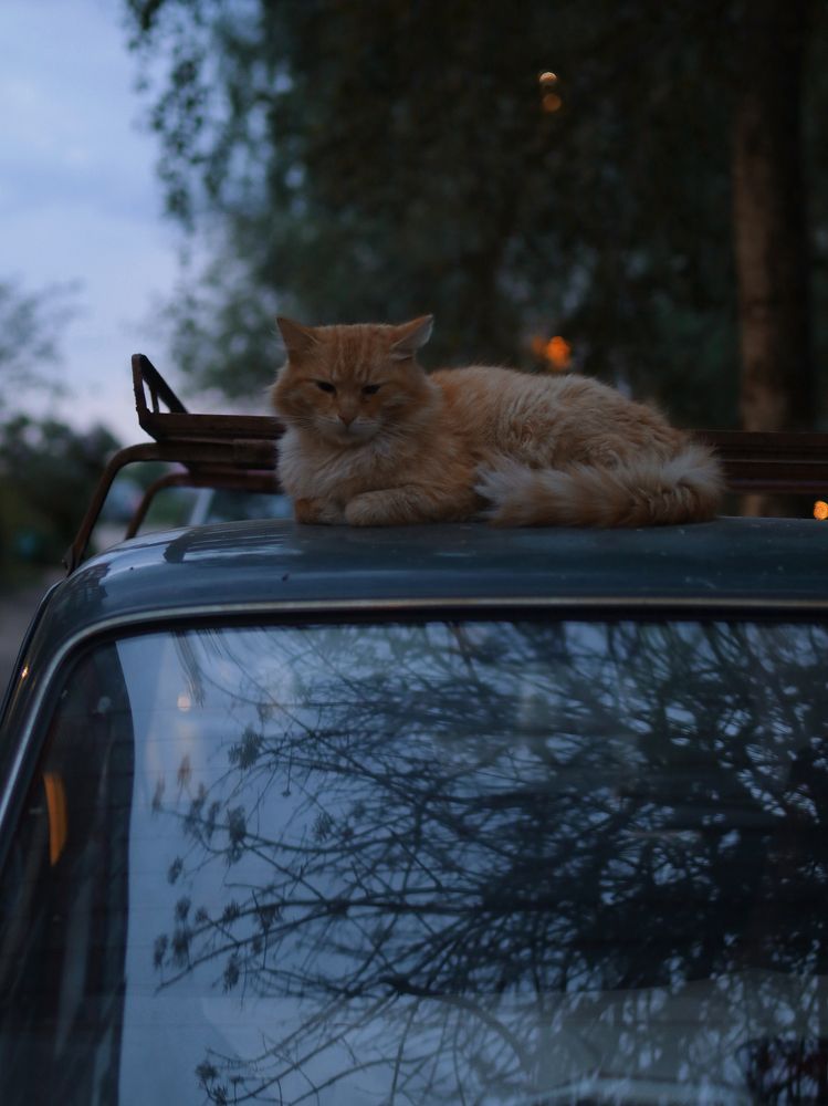 Photograph by Артем Гатин