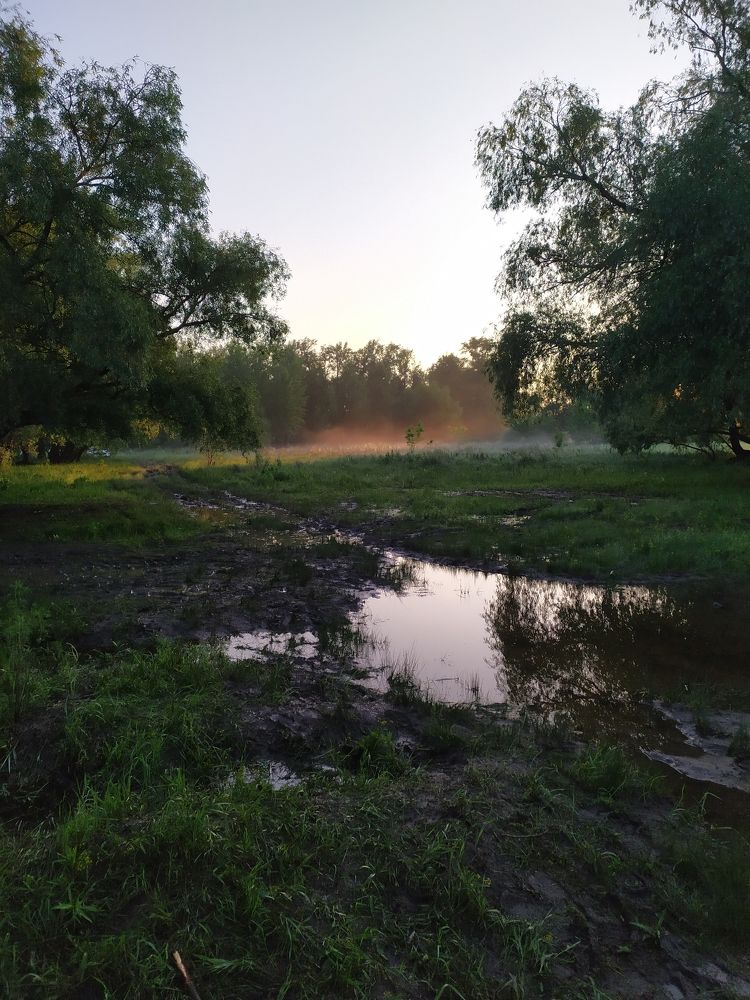 Photograph by Надежда Соколова