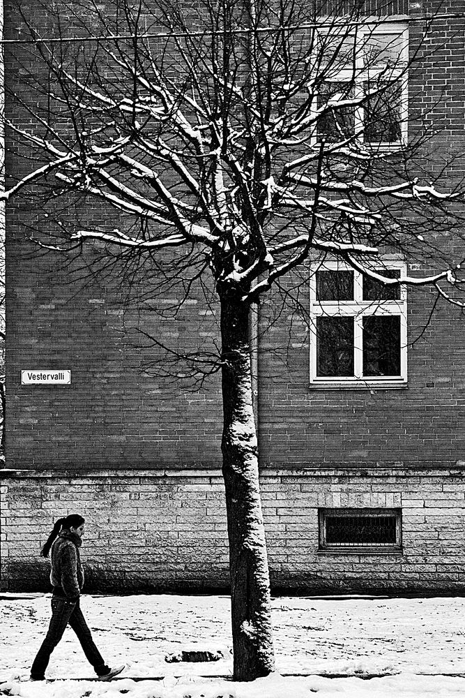 Первый снег. 2010.