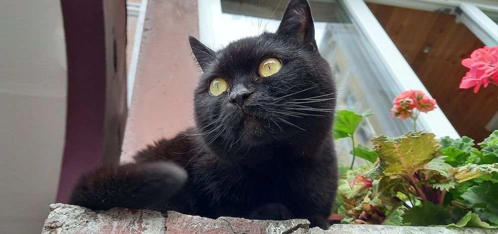 Photograph by Ирина Архипова