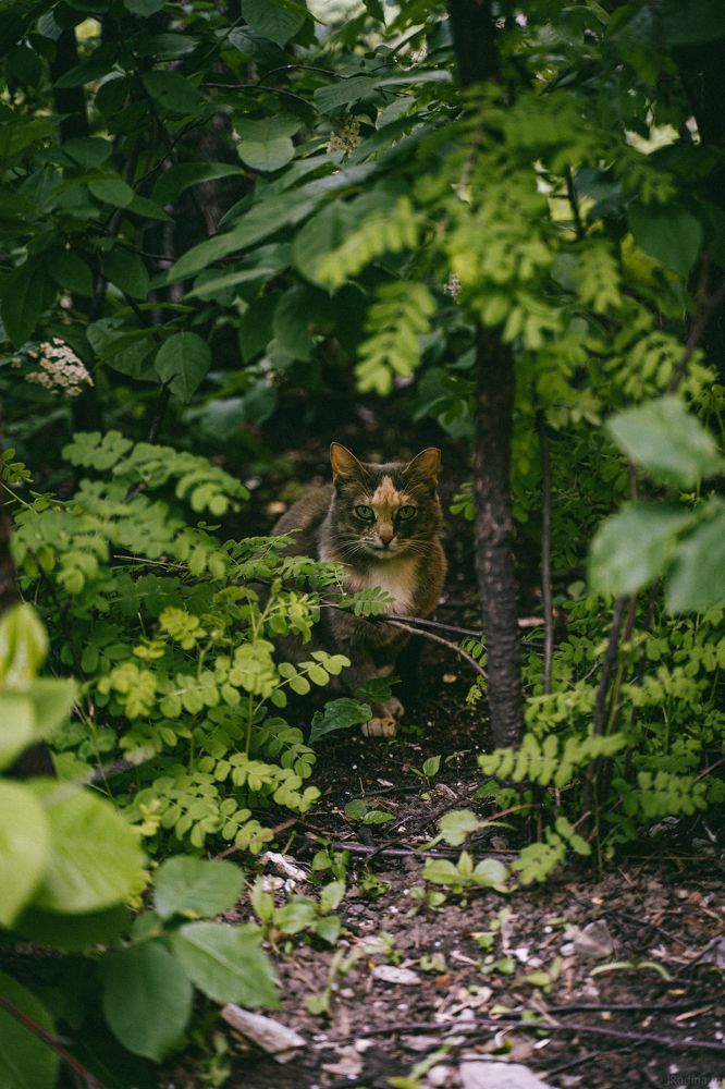 Photograph by Родина Юля