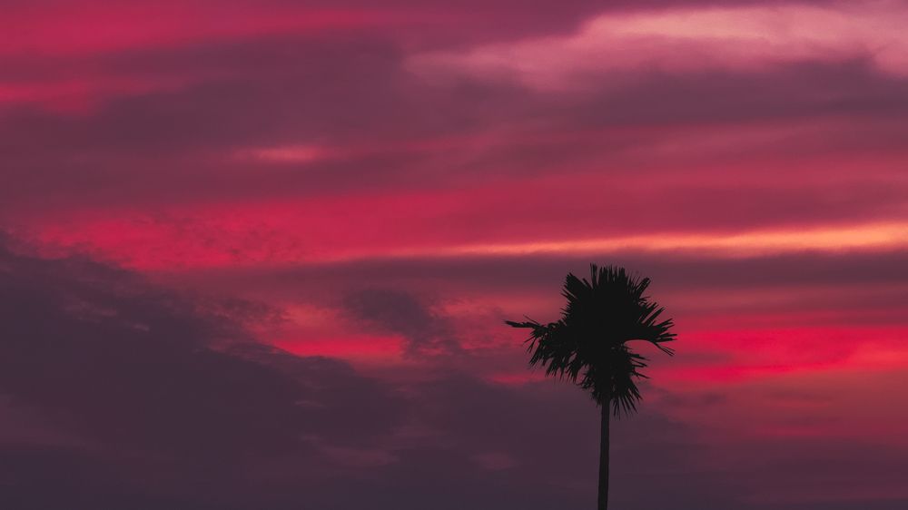 Photograph by Sumitava Chowdhury