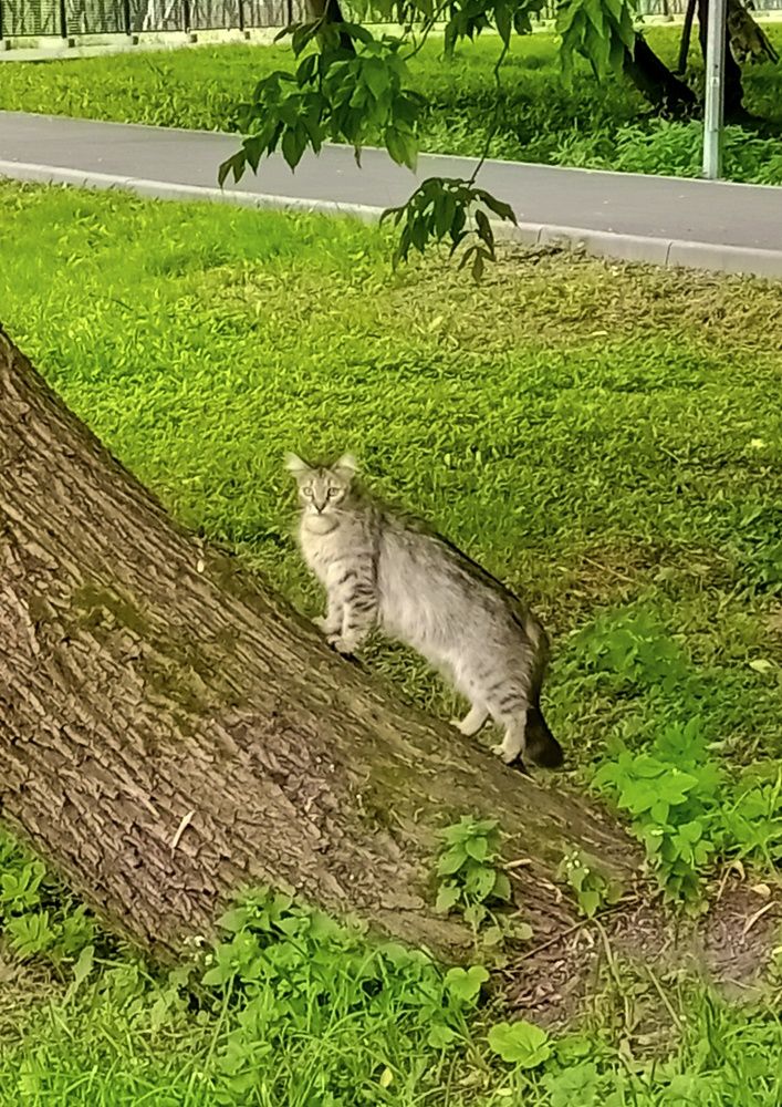 Photograph by Sergey Kurkov-Tarkovsky