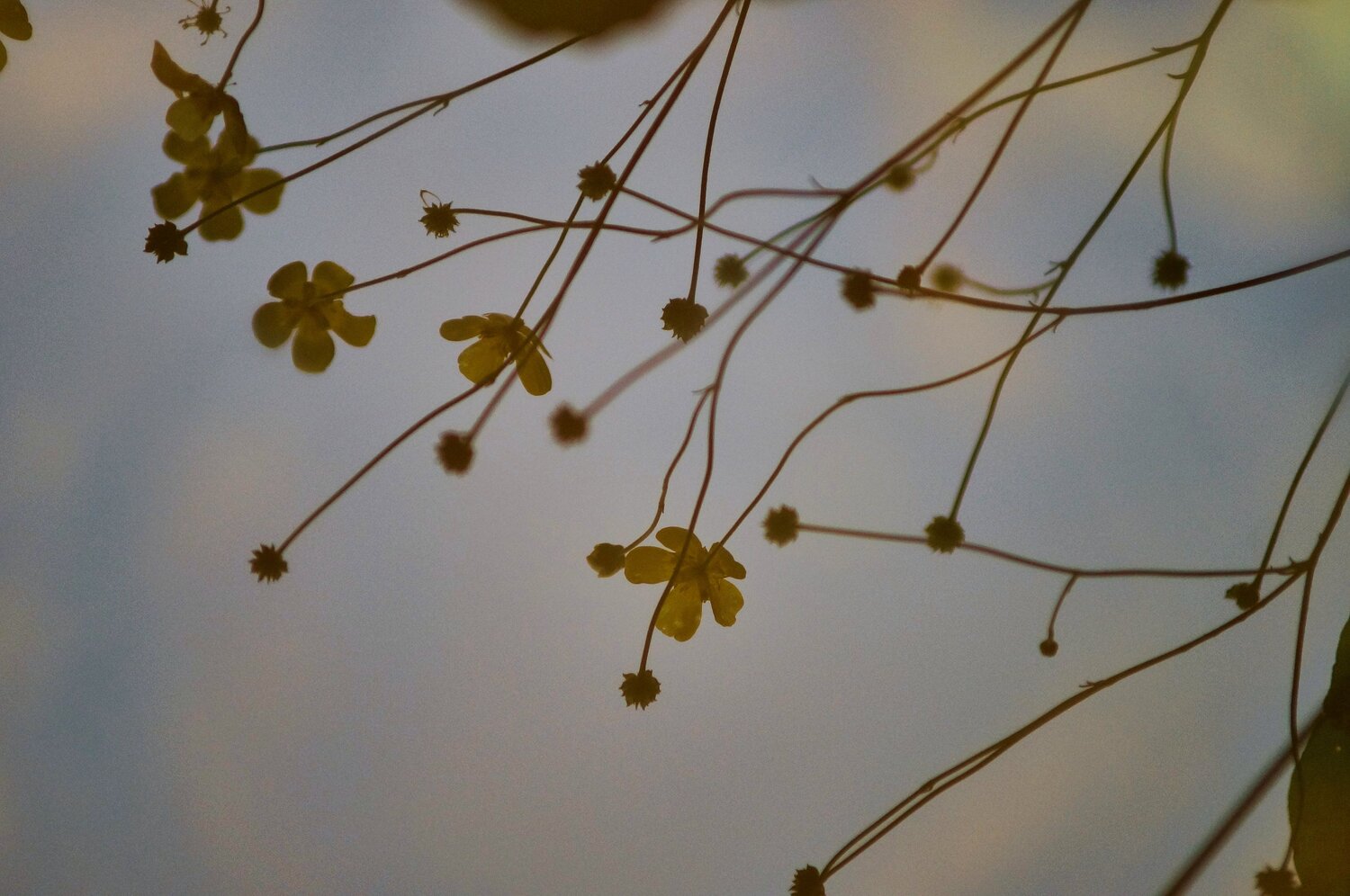 Photo #10780259