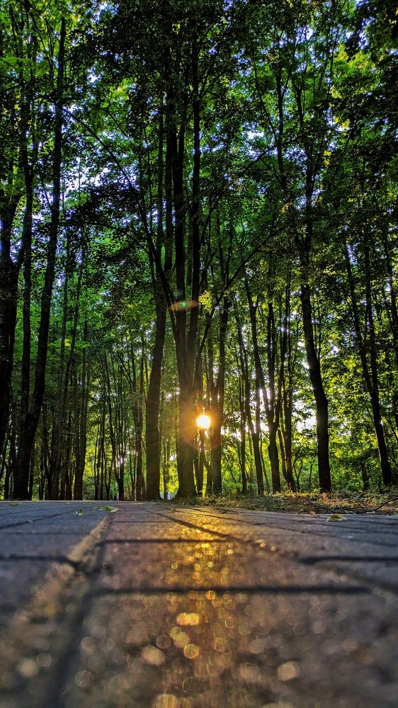 Photograph by Ольга Трухан