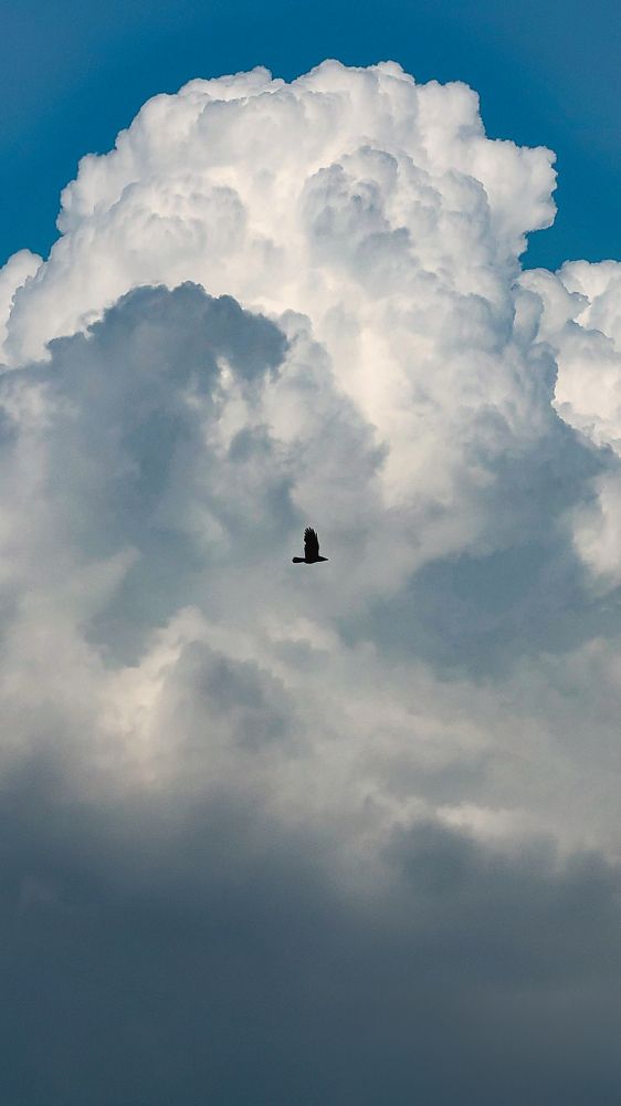 Photograph by Sumitava Chowdhury