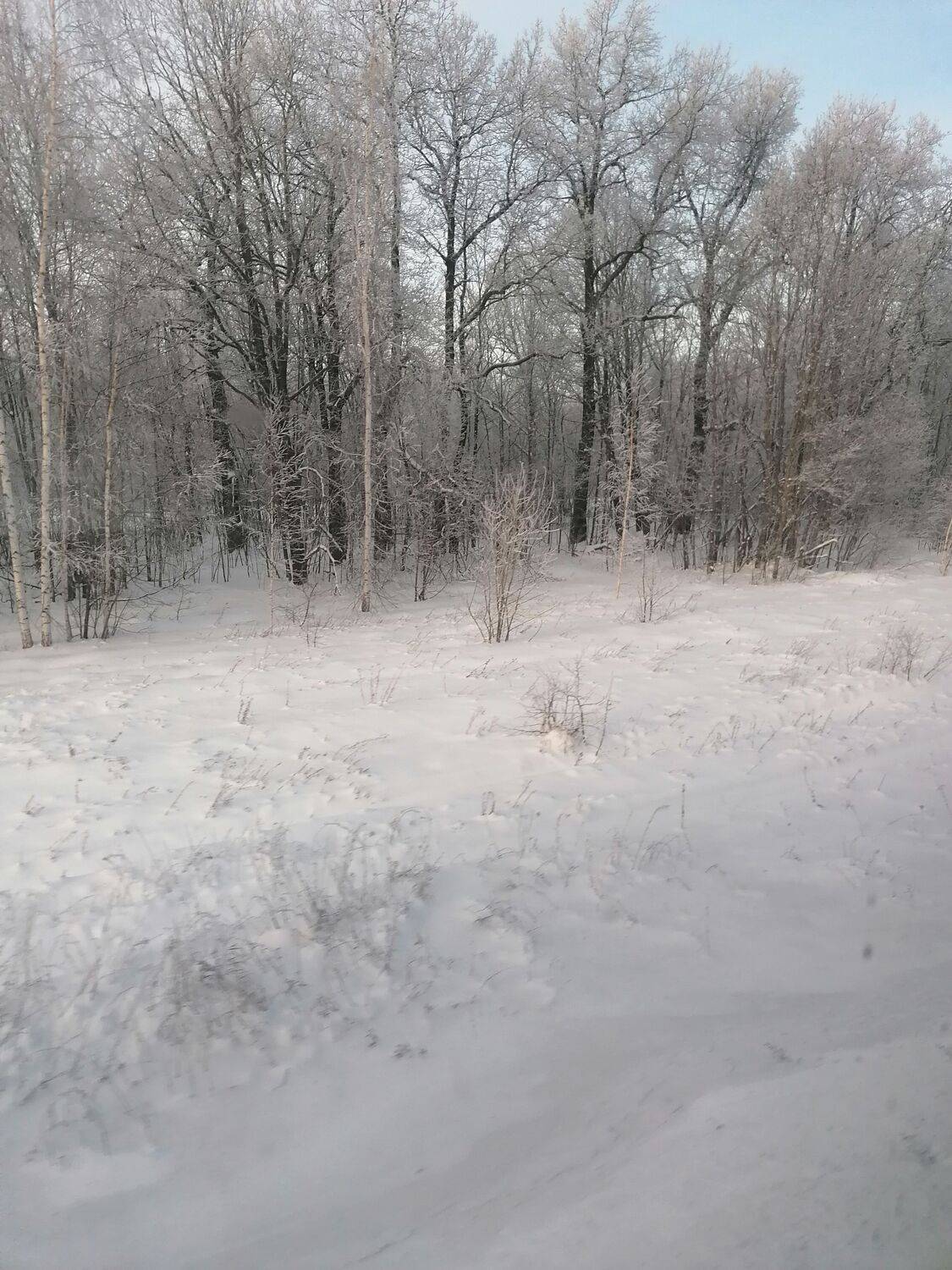 Photo #10780315