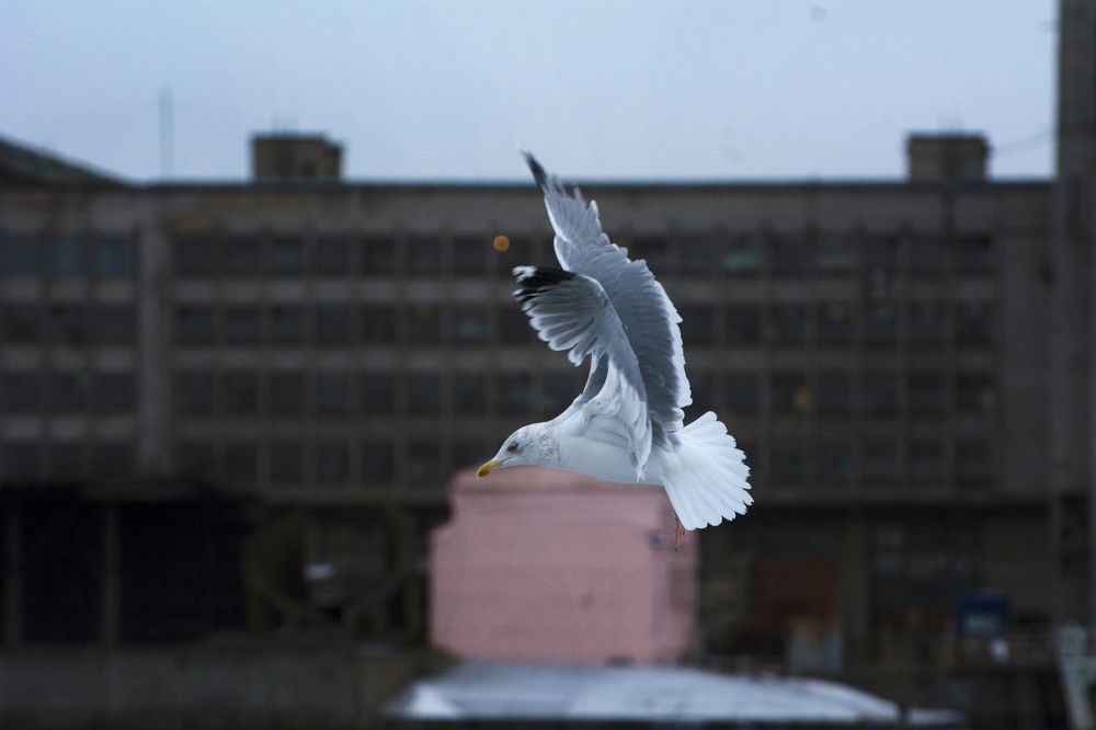 Photograph by Ричард Речицкий