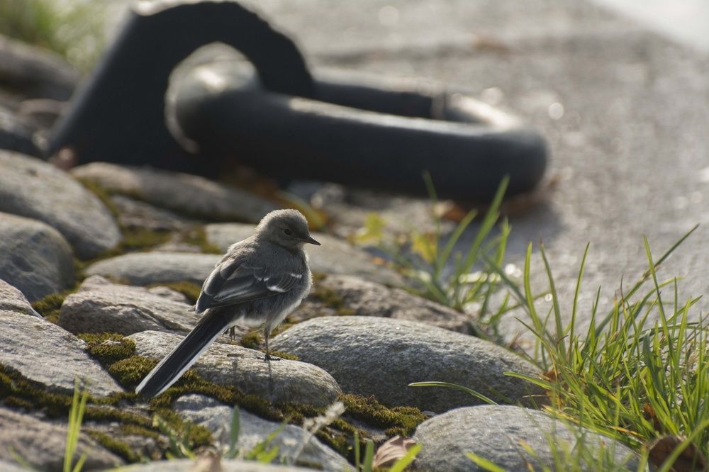 Photograph by Ричард Речицкий