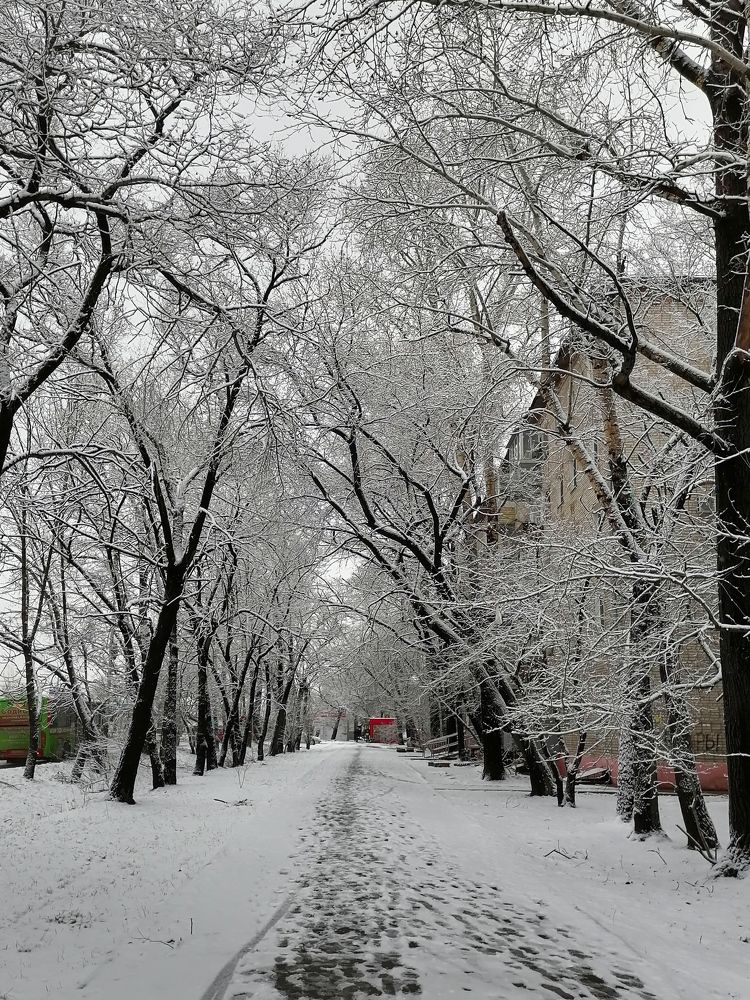 Зима в Хабаровске